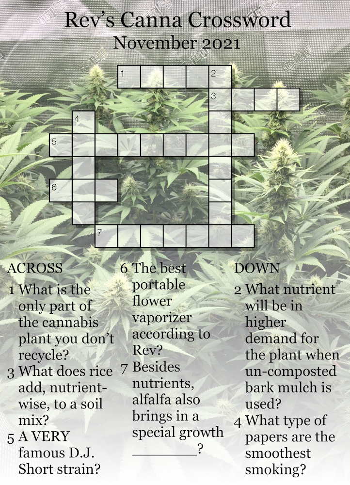 November 2021 Crossword 